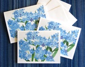 forget me nots blank card