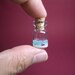 A crab and a starfish in a tiny bottle