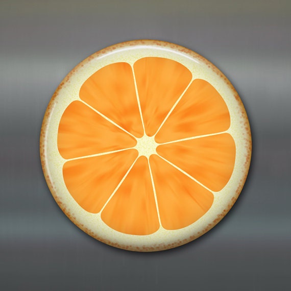 3.5 citrus fruit magnet gift for her food art fridge