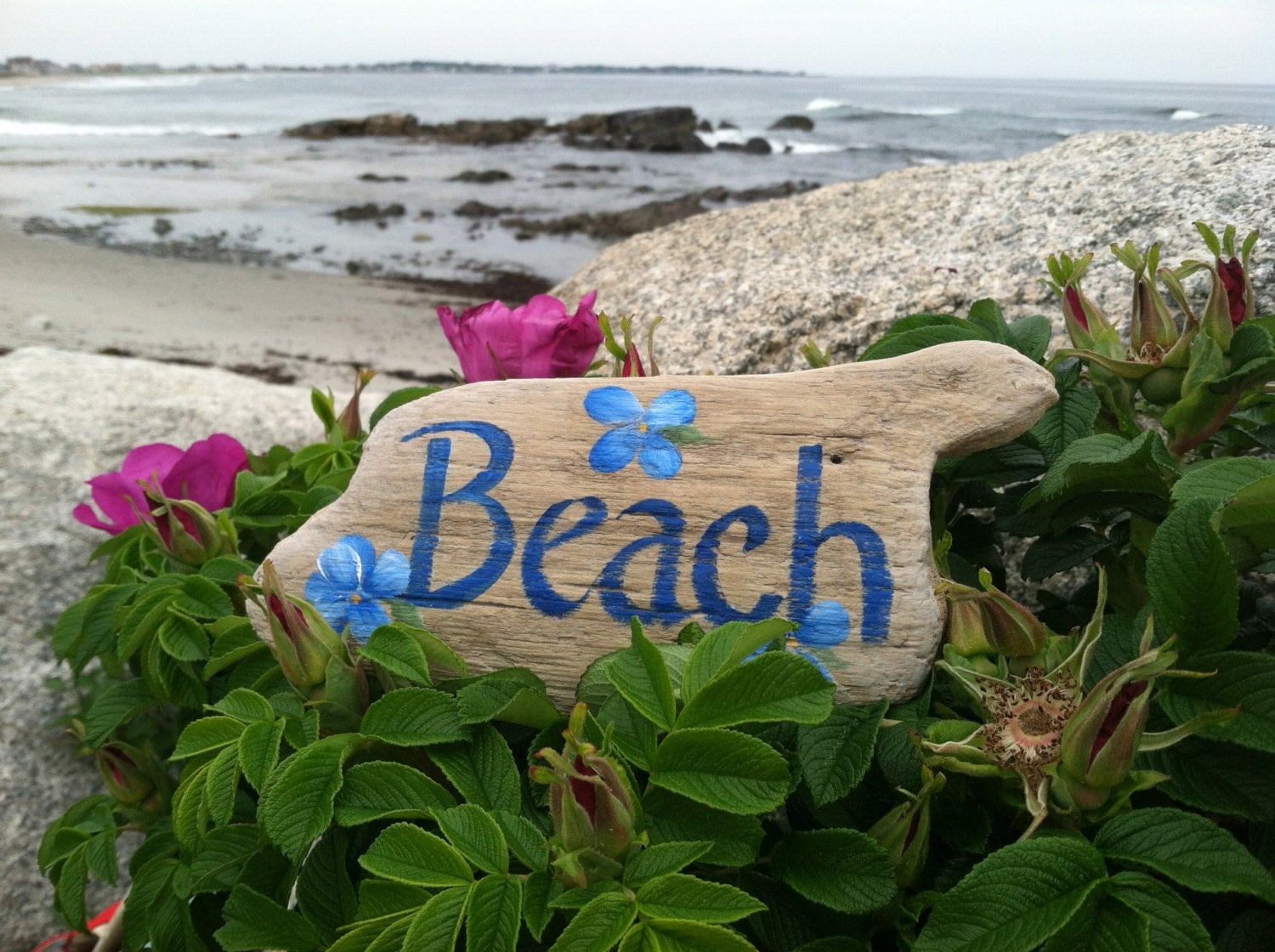 Painted Driftwood Beach Sign