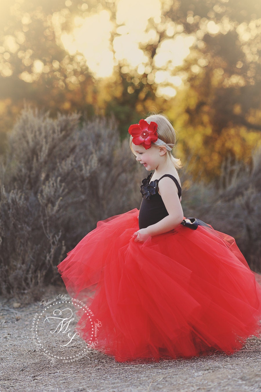 Tutu dress Red tutu Black and red tutu Flower girl dress