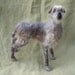 Needle felted Irish Wolfhound Dog- ready to ship