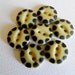 1800s Stenciled China Buttons Black and Cream