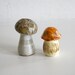 Mushroom Shakers