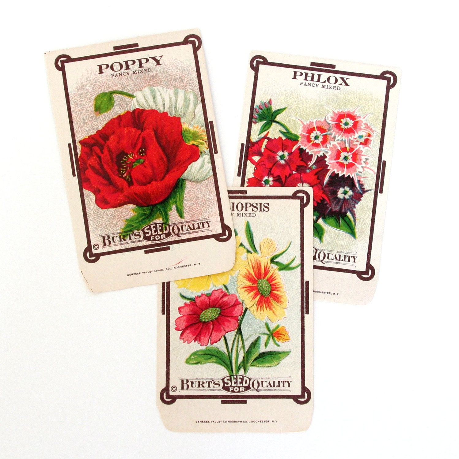 Vintage Flower Seed Packets Set of 3 by saturdayAMvintage on Etsy