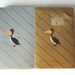 Vintage Art Deco US Playing Card Co. Deck - Vintage Playing Cards USPC CO. - 1930s Art Deco Bird Pelican Duck