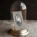 Glass Display Cloche with Brass Metal Base