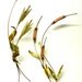 Vintage Metal Wall Art Sculpture 3 D