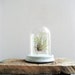 Vintage Glass Cloche with Wooden Base