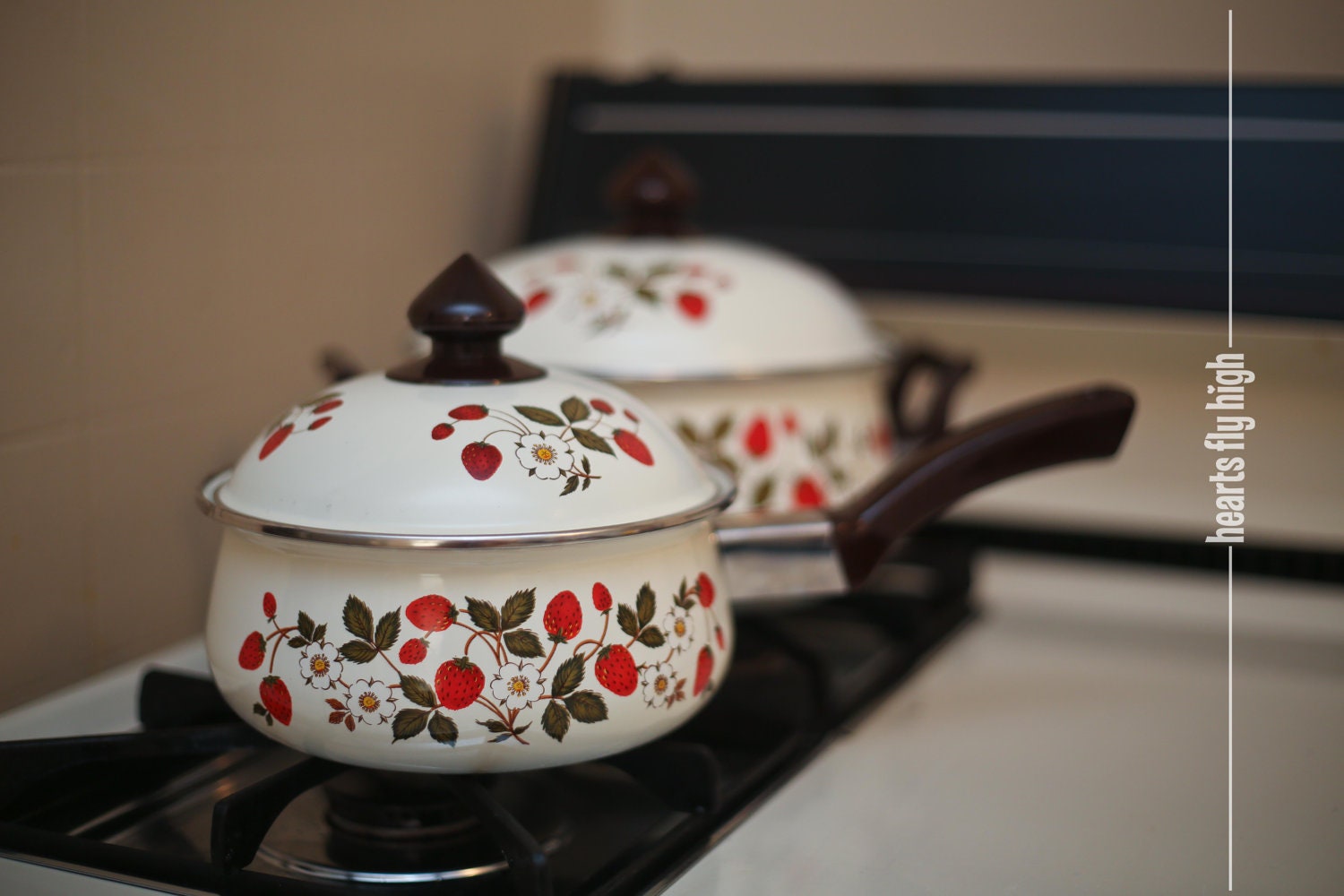 Vintage Pots and Pans 2 Piece Set Strawberries 'n Cream by