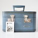 Blue Monarch Train Case