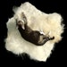 Pet Bed Mat Wool Fleece Felted Rug - Icelandic