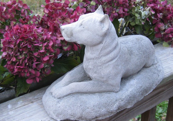 cement pitbull statue