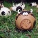 S A L E How Now Brown Cow Ceramic Piggy Bank