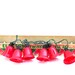 Vintage ACLA Yule Glo Christmas Electric Twinkling Bell Set