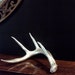 Modern Metallic Silver Painted Antler
