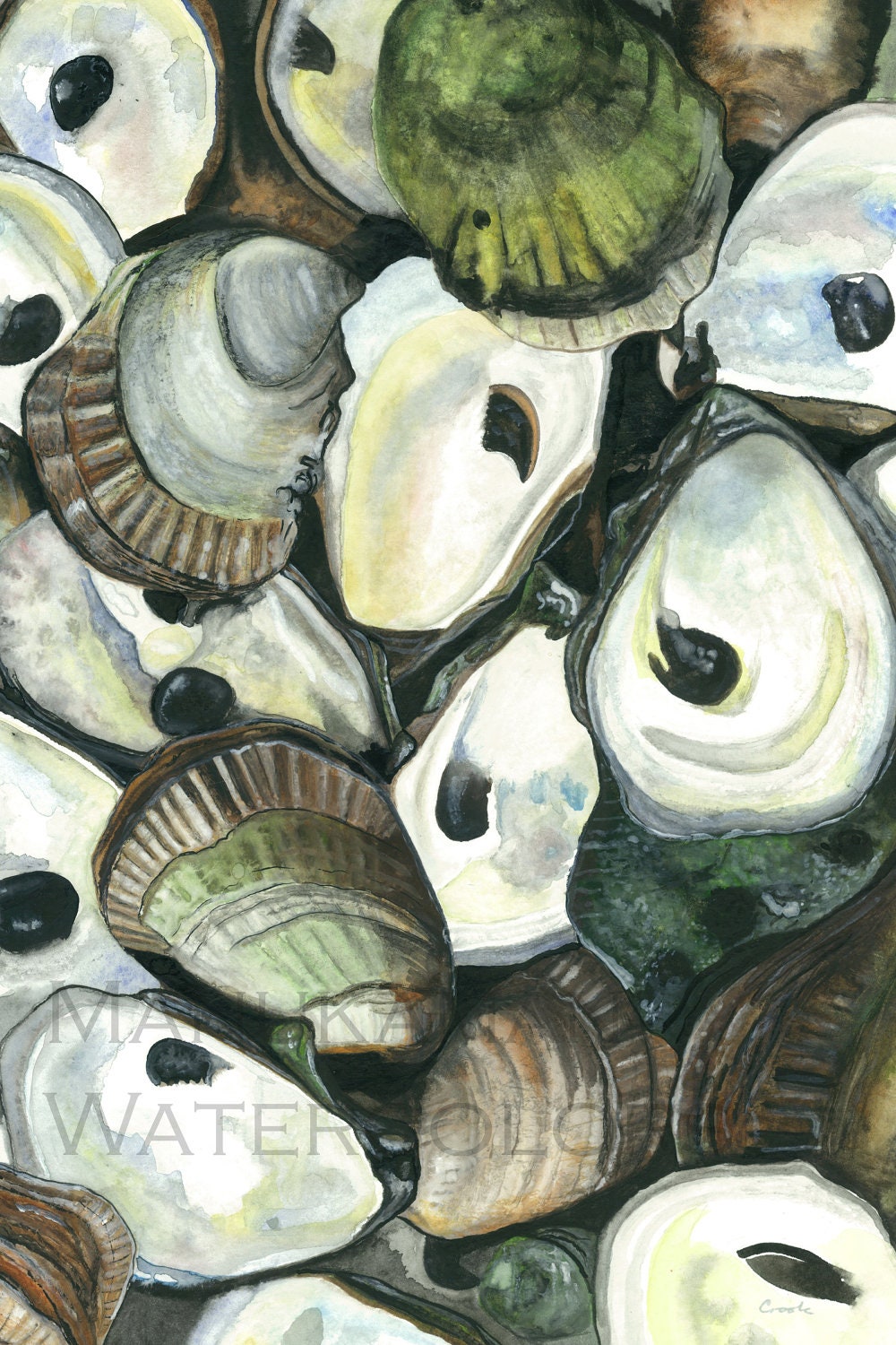 Print of Oyster watercolor painting by Damon Crook 11 x 14