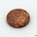 Coral fossil cabochon,petowski coral from sumatra