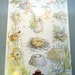 Vintage Forestry Service Poster - Residential Bird Nests