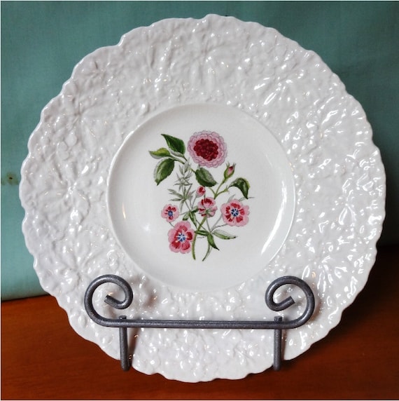 Beautiful Plate Royal Cauldon Bristol Ironstone