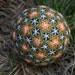 Flowers in the Woods temari ball
