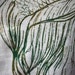 Womens Medium Betta Fish tee - Organic Cotton and Bamboo Tee with Screenprint