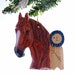 Personalized Show Horse Ornament - Blue ribbbon horse christmas ornament, handmade and personalized free.