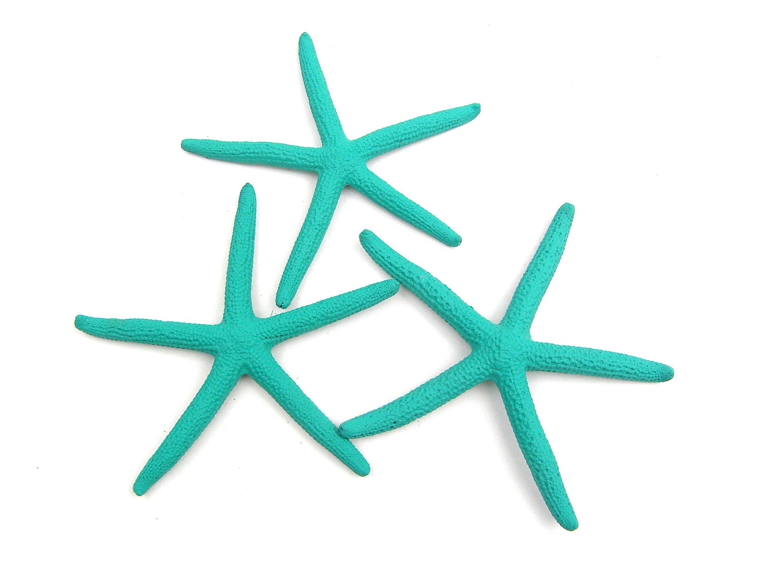 3-4 in. Aqua Blue Starfish 6 pcs. hand painted by AShoreThing1