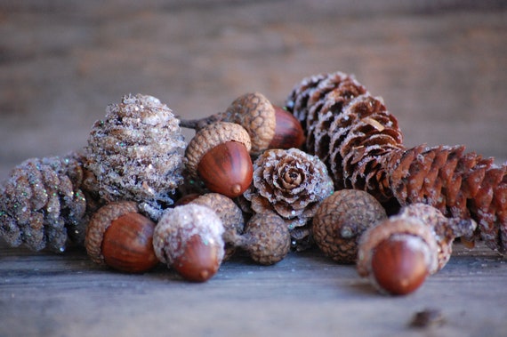 basket filler, glitter real pine cones and real acorns with Birch bark,  fairy garden mix, sparkly, decoration for wedding