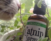 catnip spray diy