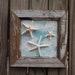 Framed Starfish Wall Art, Coastal Wall Art