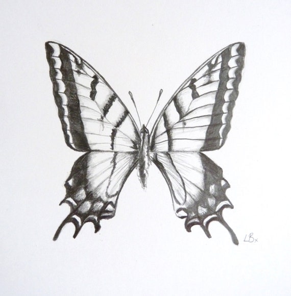 Items similar to Butterfly Pencil Drawing - Flower, Fairytale, Girly on ...