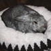 Ugli Donut bunny bed for a small to medium sized bunny Nordic snowflake pattern