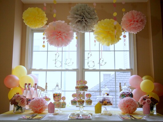 Pink Lemonade DIY Party  Decoration  Package with 12 Person 
