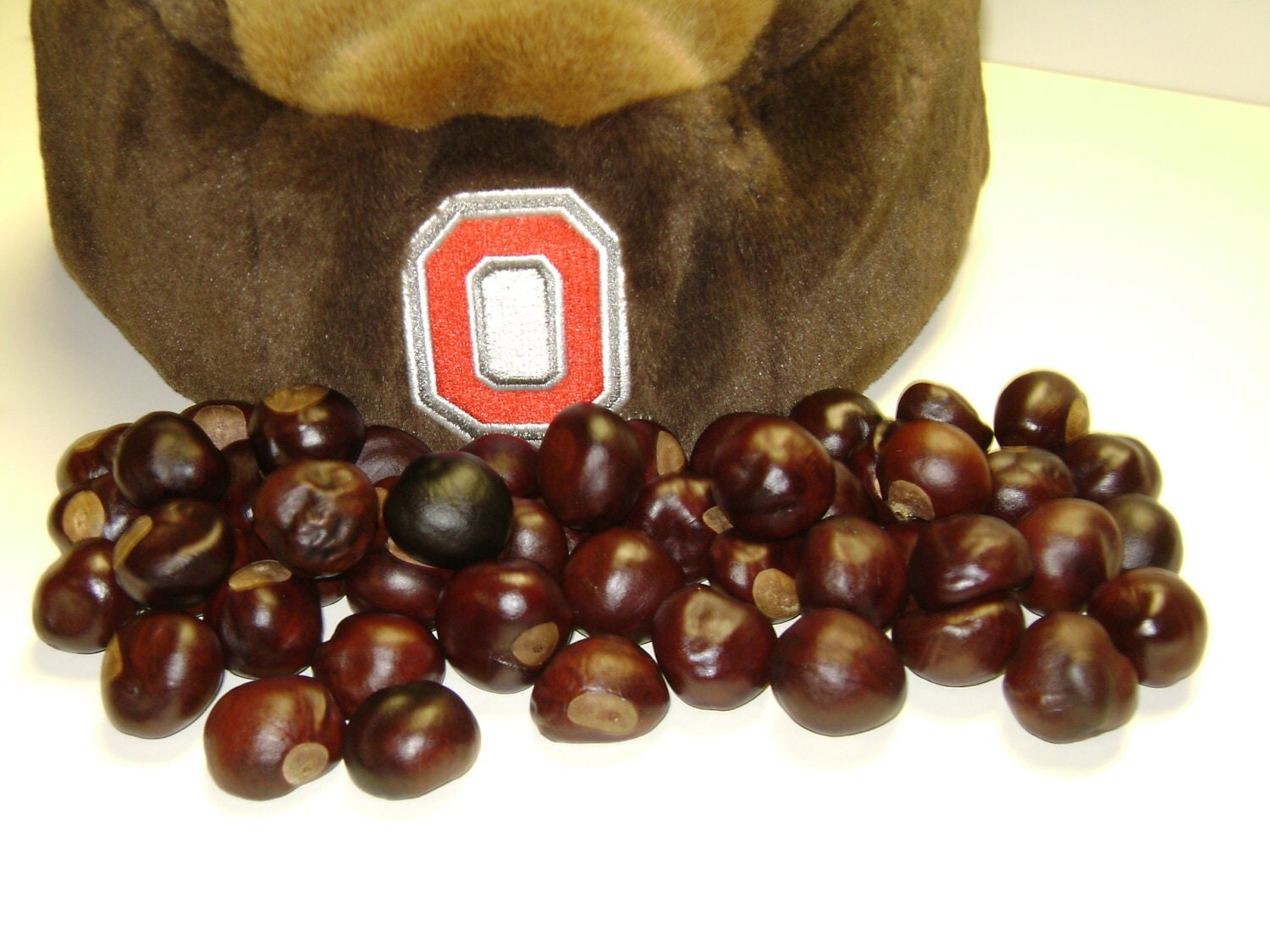 Ohio State Buckeye Nuts Your choice 25 50 75 100 by AutumnBlaze77