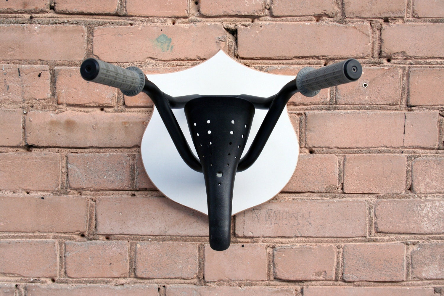Bike Rack and Clothes Hanger  Trophy Wall  Decor  by