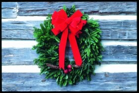 20" Fraisier Fir single sided wreath