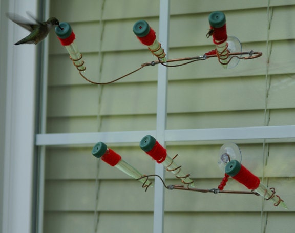 window hummingbird feeder