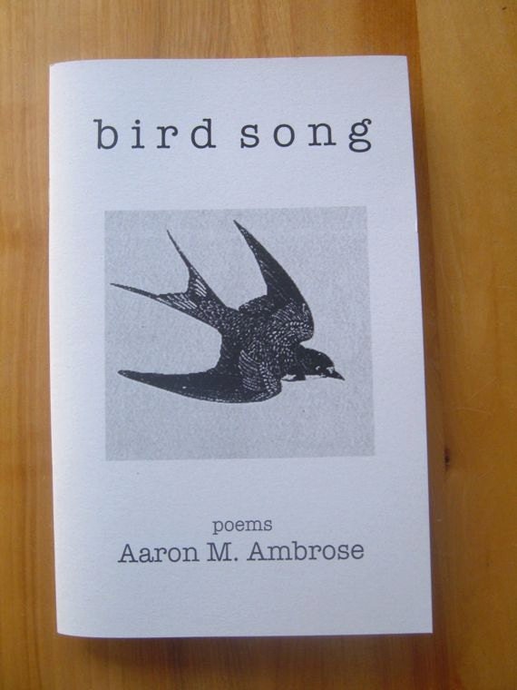 items-similar-to-poetry-chapbook-bird-song-poems-by-aaron-m-ambrose-on