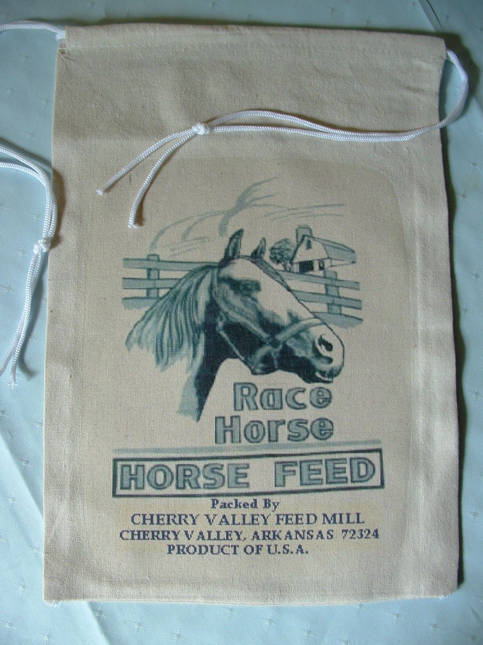 RACE HORSE Feed Sack Bag Novelty Feed Sack by AuntBevTreasures