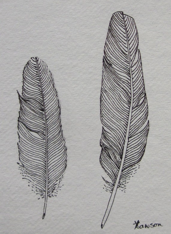 2 small black feathers original ink drawing