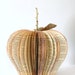 Vintage Book Apple TEACHER GIFT size large