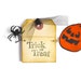 Halloween pumpkin pocket note card . Jack-o-Lantern miniature envelope . trick or treat . 3 by 2 3/8 inches . spooky note