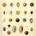 Vintage Print 1900 Antique GEMSTONES CHART German, vintage 40 minerals precious gem stones illustrations