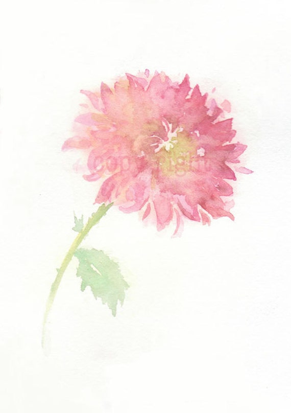 Fine art watercolor painting, flower art, pink CHRYSANTHEMUM WATERCOLOR