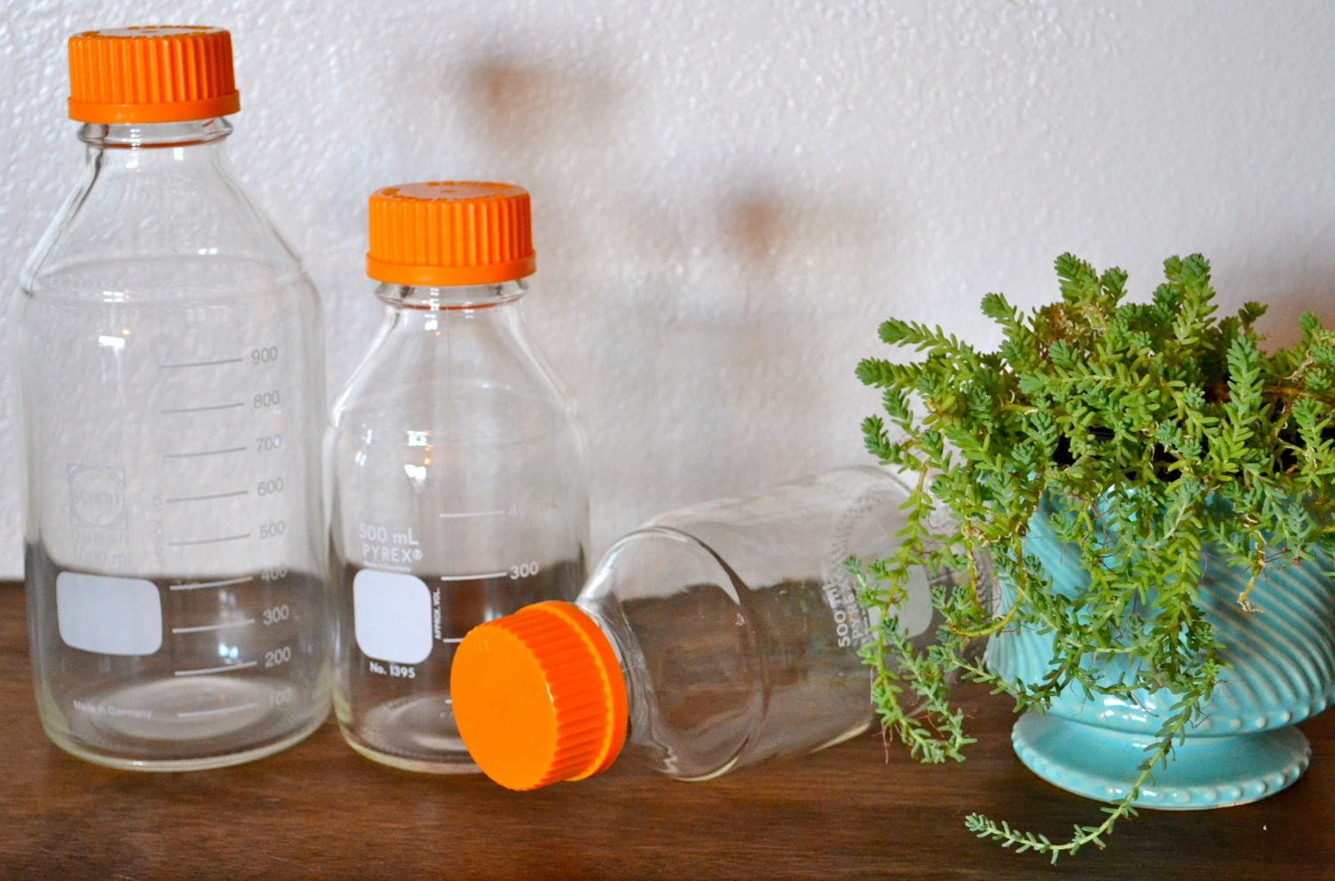 Chemistry Lab Glass Bottles Pyrex and Schott Orange Lids