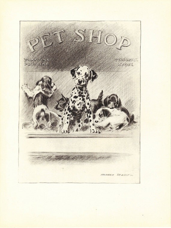 PUPPIES 1940s Dog Print, Morgan Dennis, Animal Print, Dalmation, Black & White, Wall Decor, Art Illustration to Frame, plate, Home Decor
