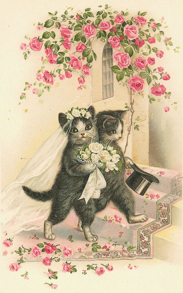 Download Vintage Cats Wedding Cross Stitch Pattern PDF