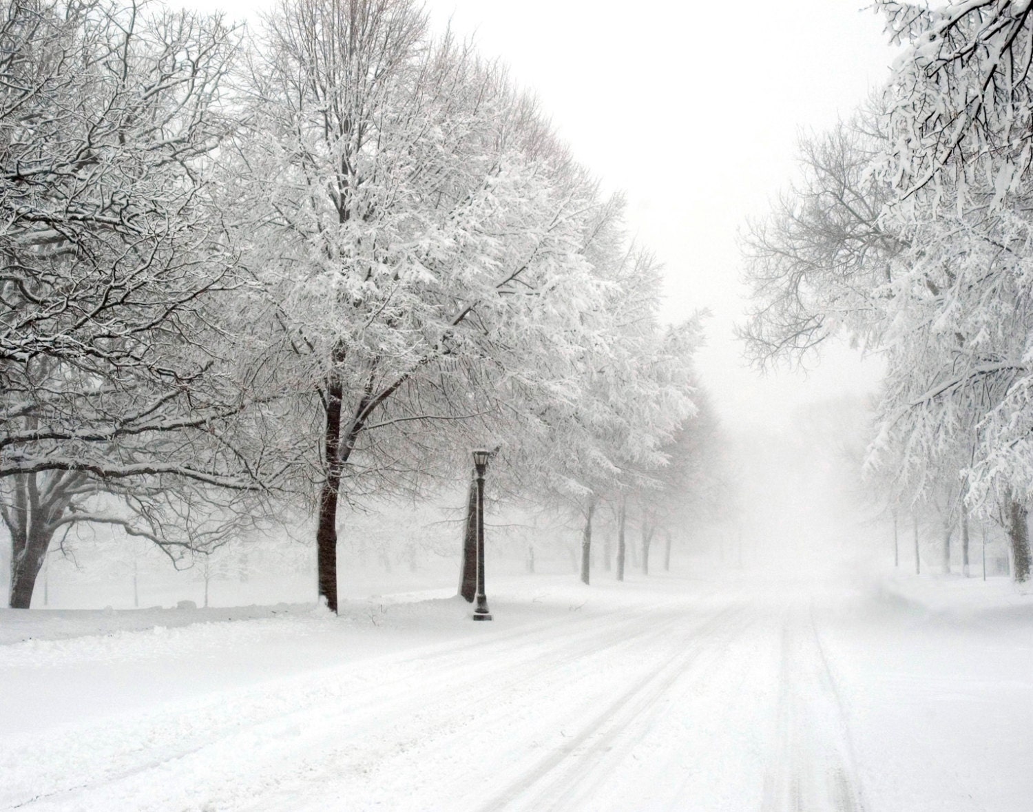 Minnesota winter landscape photography. by AlenovPhotography