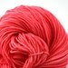 Hudson Superwash Merino Hand Painted worsted weight 240 yds Bubblegum
